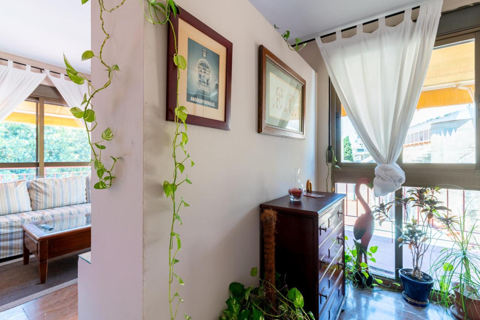 Penthouse!!! Center Of Seville!!! 2 Bedroom + 2 Bath!!! Εξωτερικό φωτογραφία